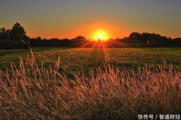 闻道资本 创2021年5月来股价新低，竞品来袭挑战传奇生物估值逻辑？