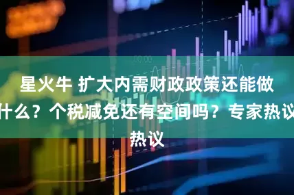 星火牛 扩大内需财政政策还能做什么？个税减免还有空间吗？专家热议