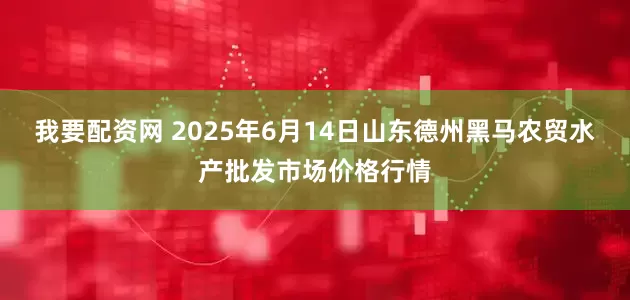 我要配资网 2025年6月14日山东德州黑马农贸水产批发市场价格行情