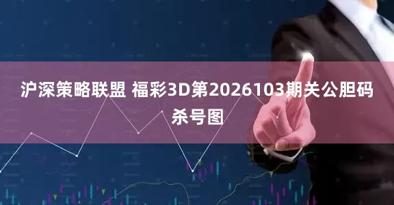 沪深策略联盟 福彩3D第2026103期关公胆码杀号图